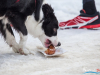 1201img_1548