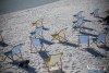 1131IMG_9137