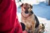 1148IMG_9161