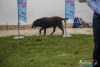 0915IMG_0355