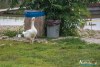 0916IMG_0363