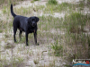 1453img_1765