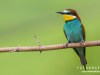 1027img_1059