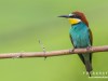 1027img_1072