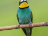 1027img_1080