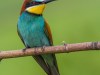 1028img_1145