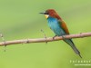 1045img_1238