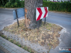 1926img_9999