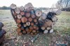 1541IMG_4587