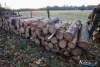 1541IMG_4588