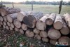 1542IMG_4590