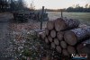 1542IMG_4592
