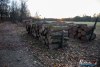 1542IMG_4596