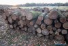 1542IMG_4599