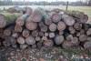 1542IMG_4600