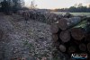 1543IMG_4602