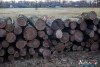 1543IMG_4606