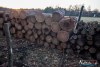 1543IMG_4607