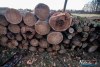1543IMG_4608