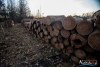 1543IMG_4609