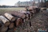 1544IMG_4613