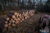 1544IMG_4616