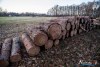 1544IMG_4619