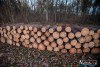 1545IMG_4622