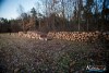 1545IMG_4624