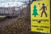 1546IMG_4637