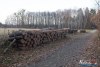 1547IMG_4642