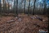 1551IMG_4651