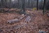 1551IMG_4653