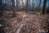 1551IMG_4658