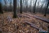 1551IMG_4659