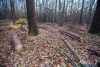 1552IMG_4661