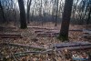 1552IMG_4663