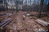 1552IMG_4665