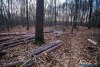 1552IMG_4667