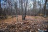 1552IMG_4671