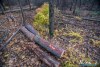 1552IMG_4672