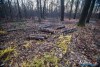1552IMG_4673
