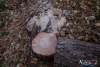 1553IMG_4674