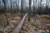1553IMG_4676