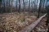 1553IMG_4678