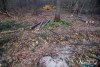 1553IMG_4679