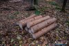 1553IMG_4681