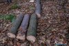 1553IMG_4682