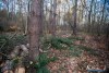 1554IMG_4684
