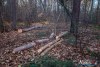 1554IMG_4685